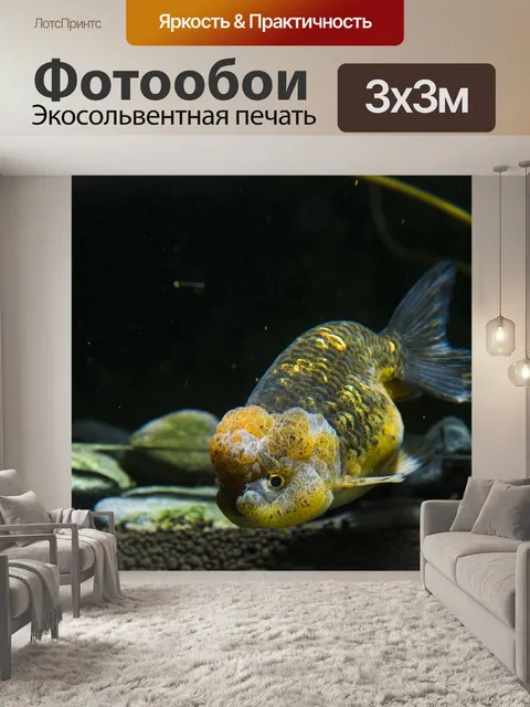 Фотообои Домашние животные
