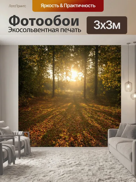 Фотообои утро: лес на рассвете, когда солнечные лучи пробиваются сквозь листву