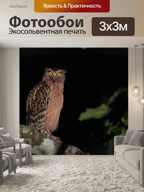 Фотообои Птица