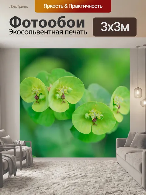 Фотообои Листья