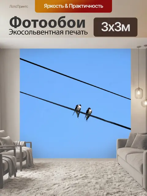 Фотообои Ласточки на проводах