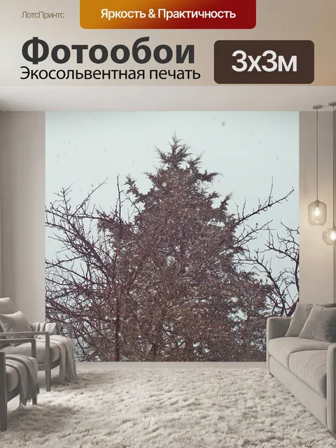 Фотообои Вечнозеленое дерево в метель