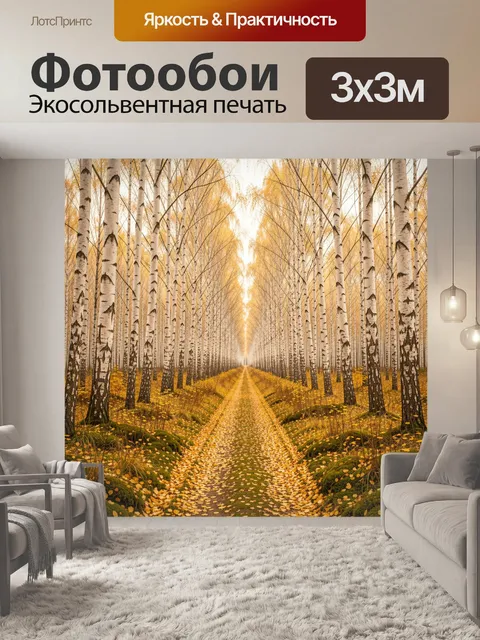 Фотообои Берёзовая аллея осенью