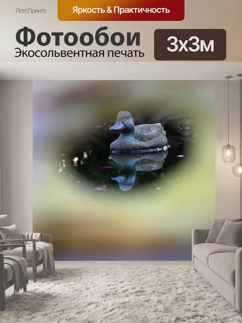 Фотообои Утка