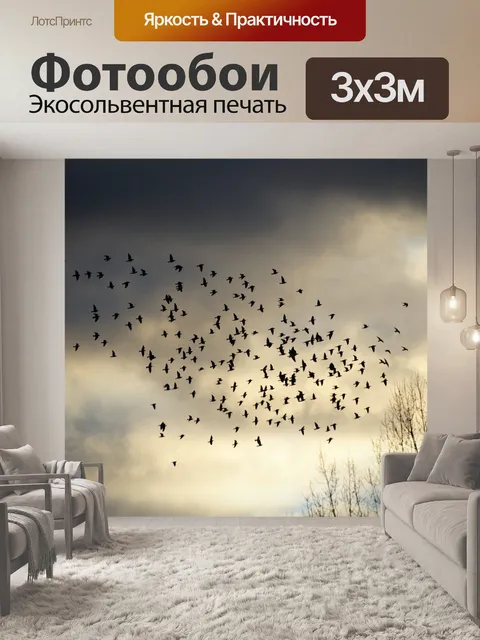 Фотообои Птицы
