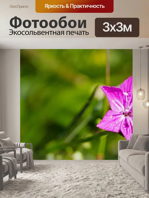 Фотообои Природа