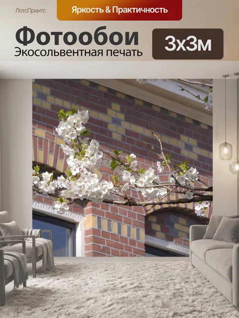 Фотообои Цветущие вишни
