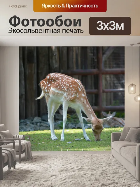 Фотообои Олень