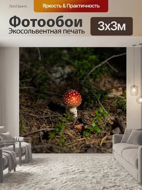 Фотообои Гриб