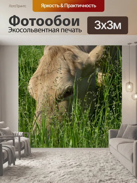 Фотообои Природа