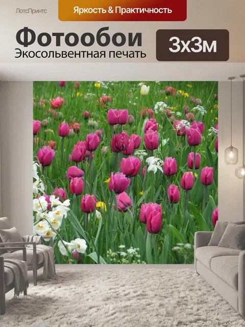 Фотообои Тюльпаны