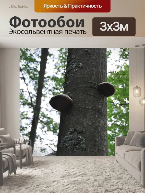Фотообои Дерево