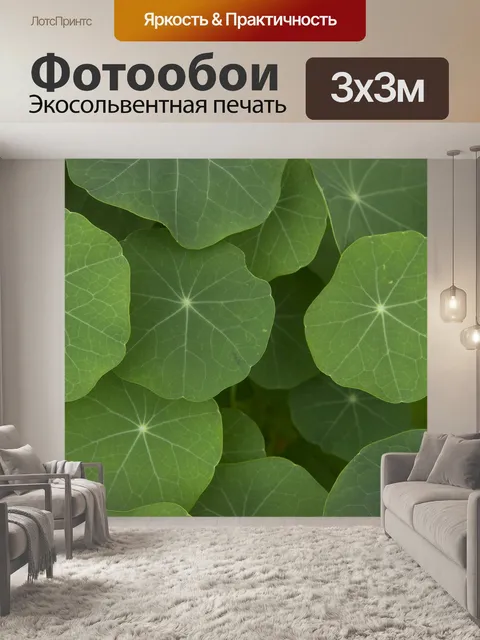 Фотообои Растение
