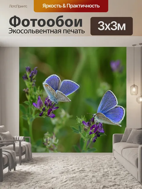 Фотообои Бабочки