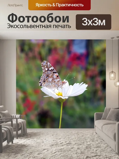 Фотообои Бабочка