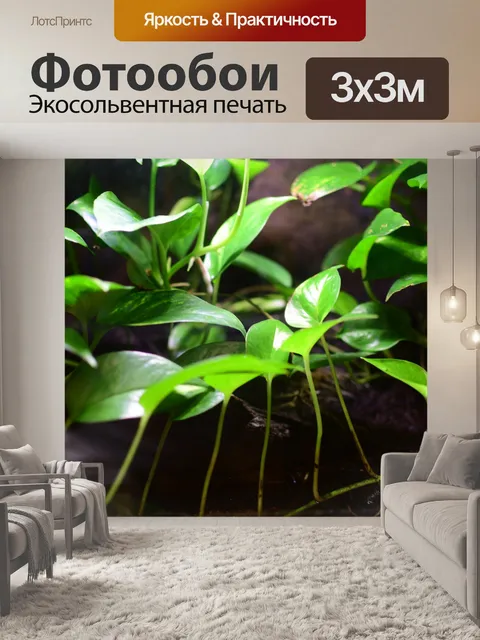 Фотообои Листья