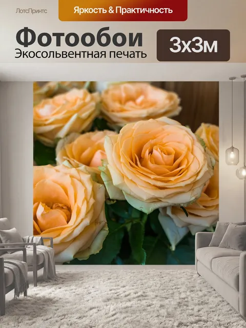 Фотообои Розы
