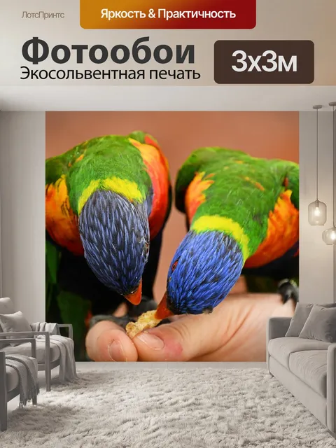 Фотообои Лори