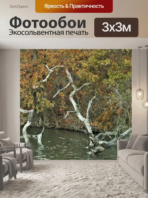 Фотообои Коряги Дракон и Собака