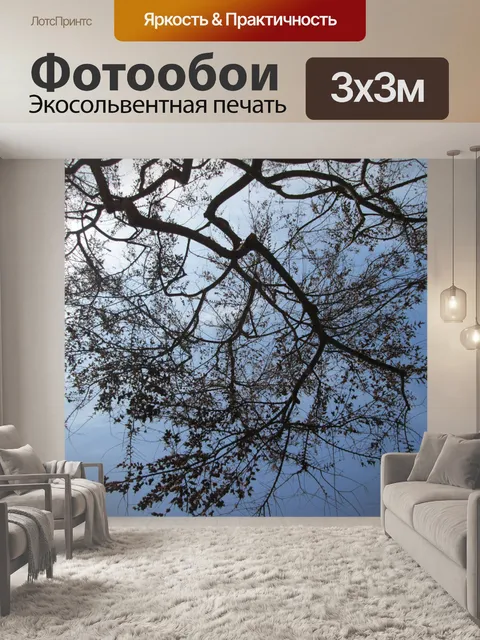 Фотообои Дерево Перспектива 2