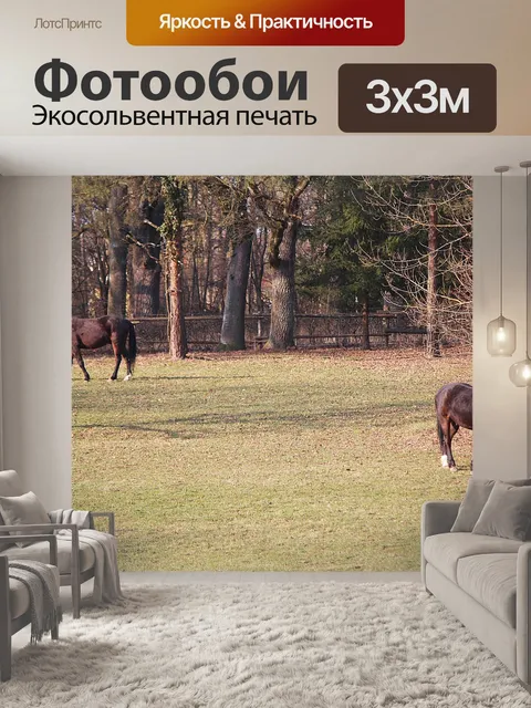Фотообои Лошади