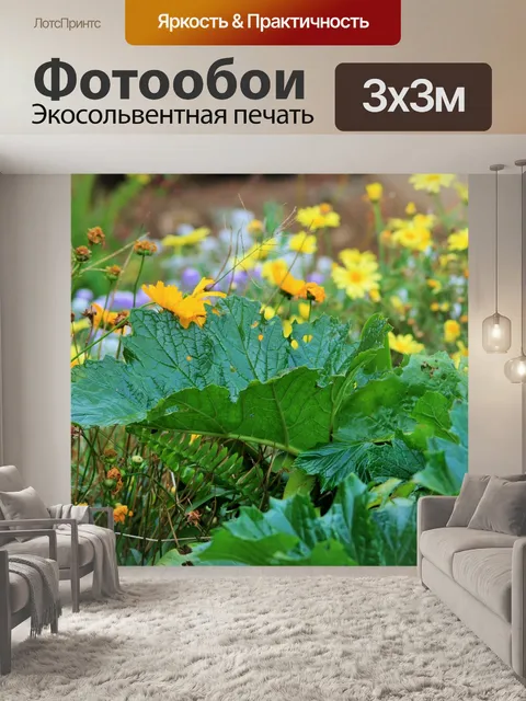 Фотообои дикие листья ревеня и ромашки