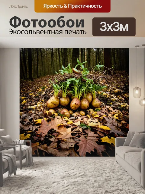 Фотообои густой лес с картошкой, которая прорастает среди слоев опавших листьев и мелких веточек