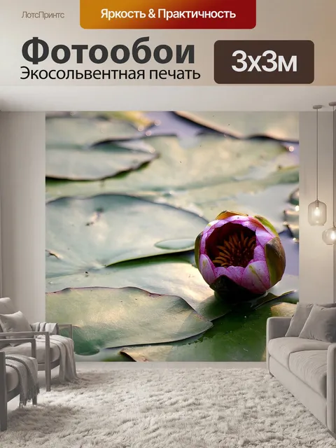 Фотообои Lotus