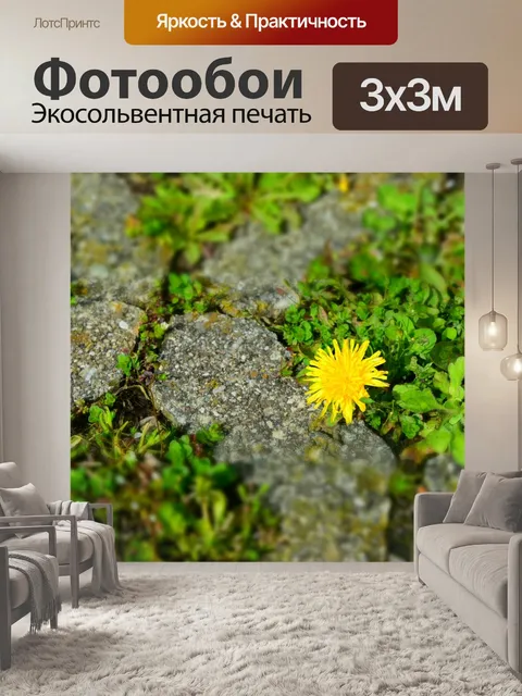 Фотообои Одуванчик