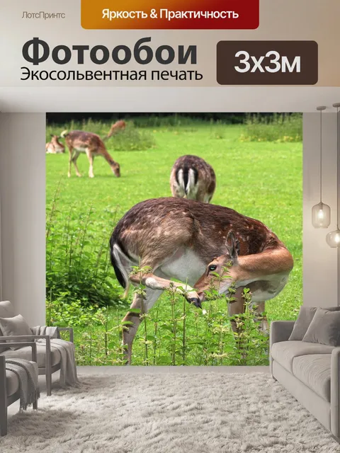 Фотообои Лес