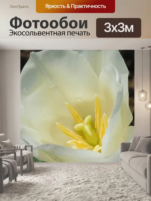 Фотообои Природа