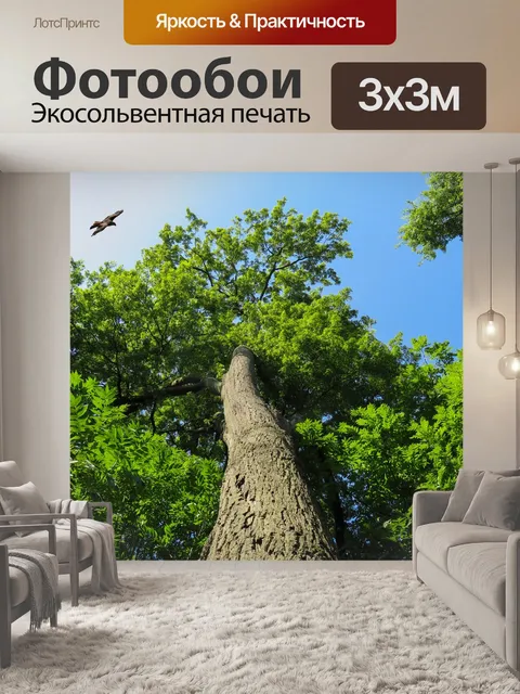 Фотообои Природа