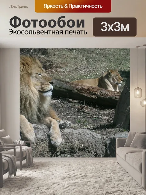 Фотообои Львы