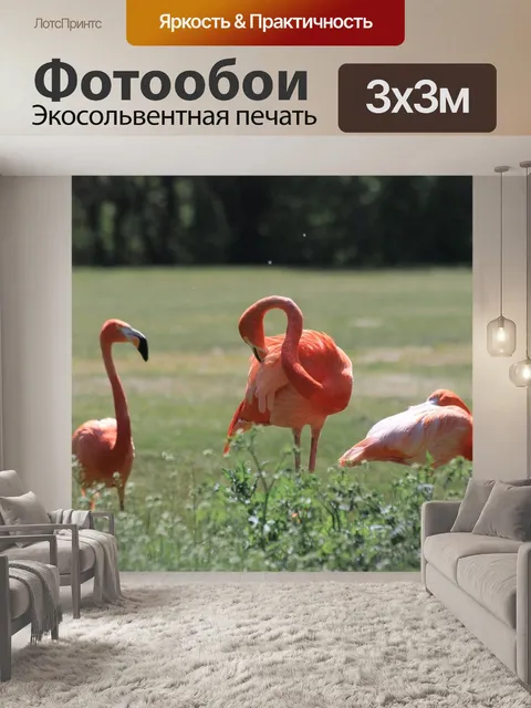 Фотообои Фламинго