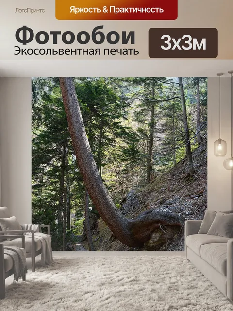 Фотообои Дерево