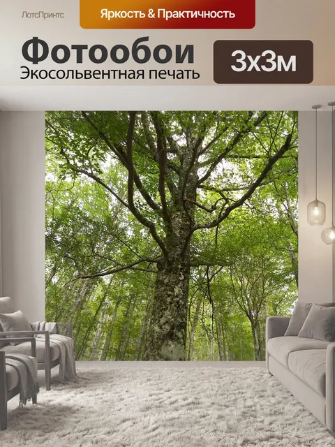 Фотообои Дерево