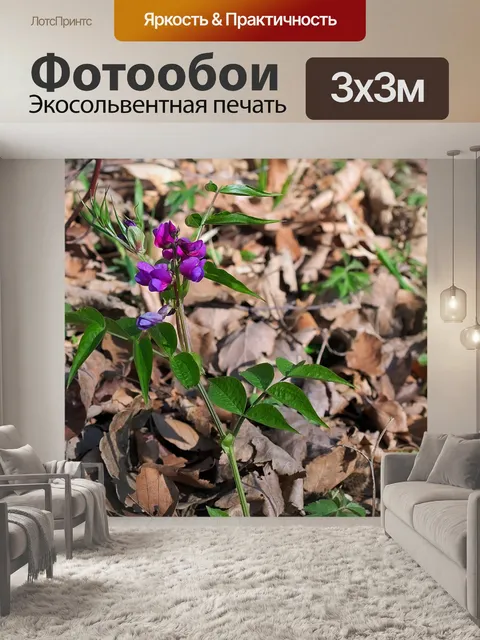 Фотообои Весенние травы гороха