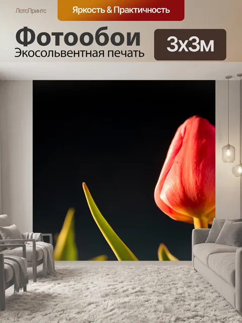 Фотообои Ночь