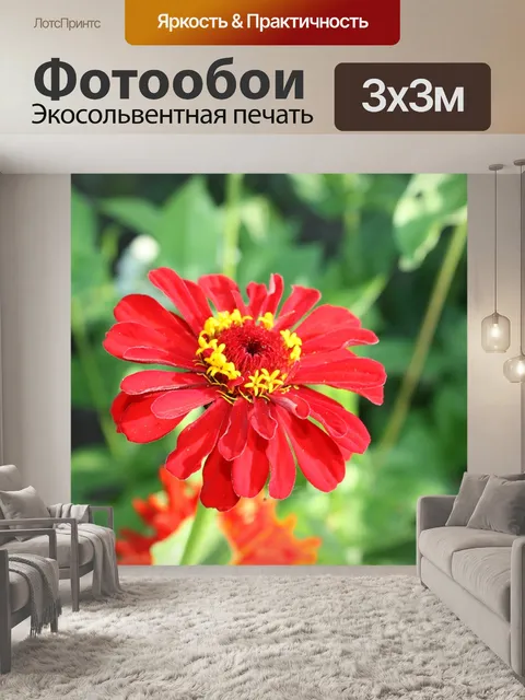 Фотообои Цветы