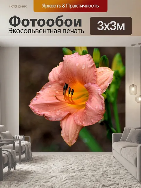 Фотообои День Лили