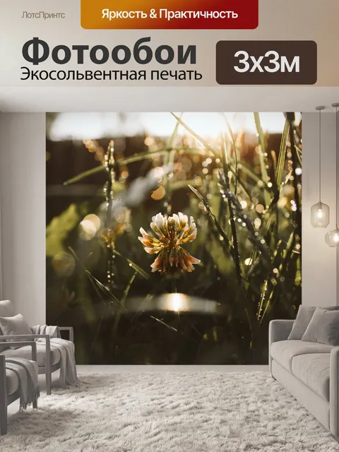 Фотообои Полосы