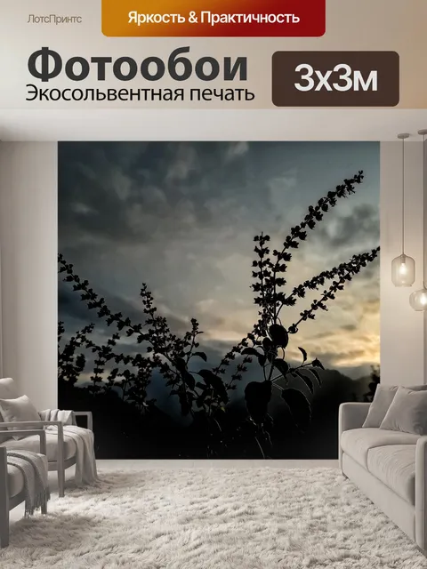 Фотообои Природа