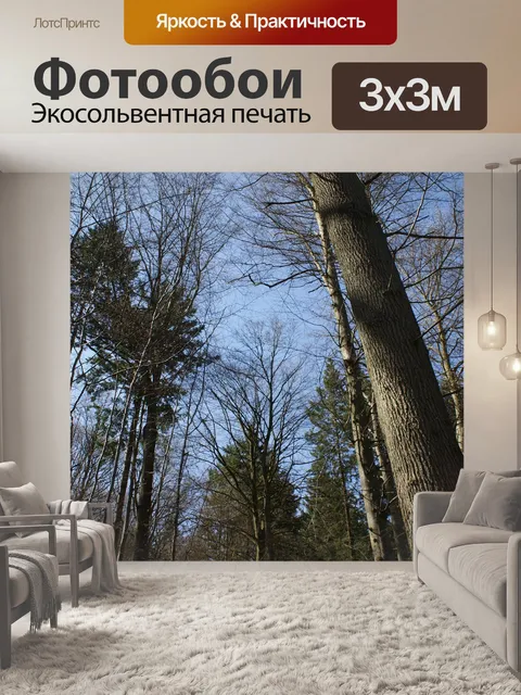 Фотообои Деревья