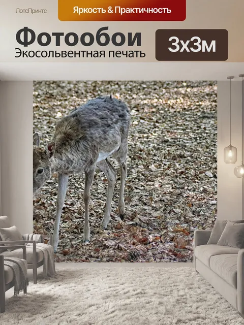 Фотообои Олень
