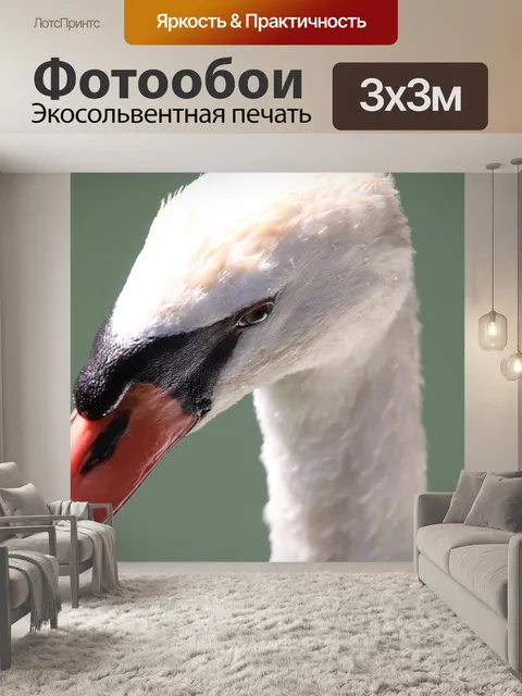 Фотообои Лебеди