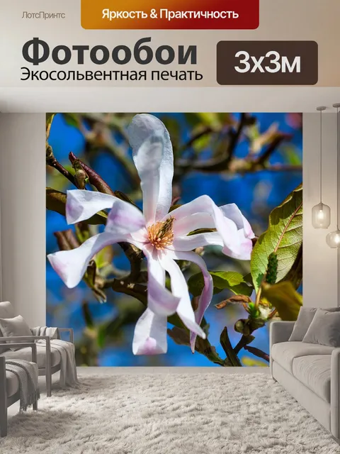 Фотообои Цветок