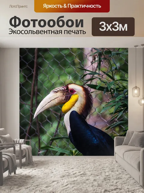 Фотообои Птица