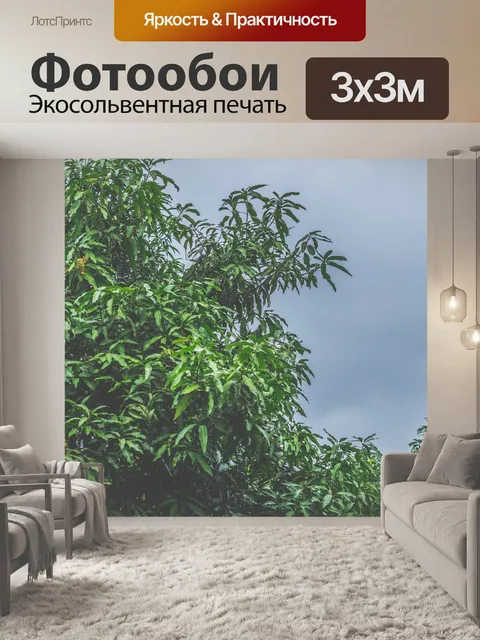 Фотообои Лес