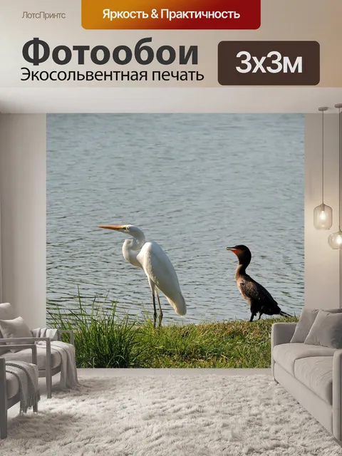 Фотообои Цапля