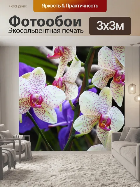 Фотообои Орхидеи